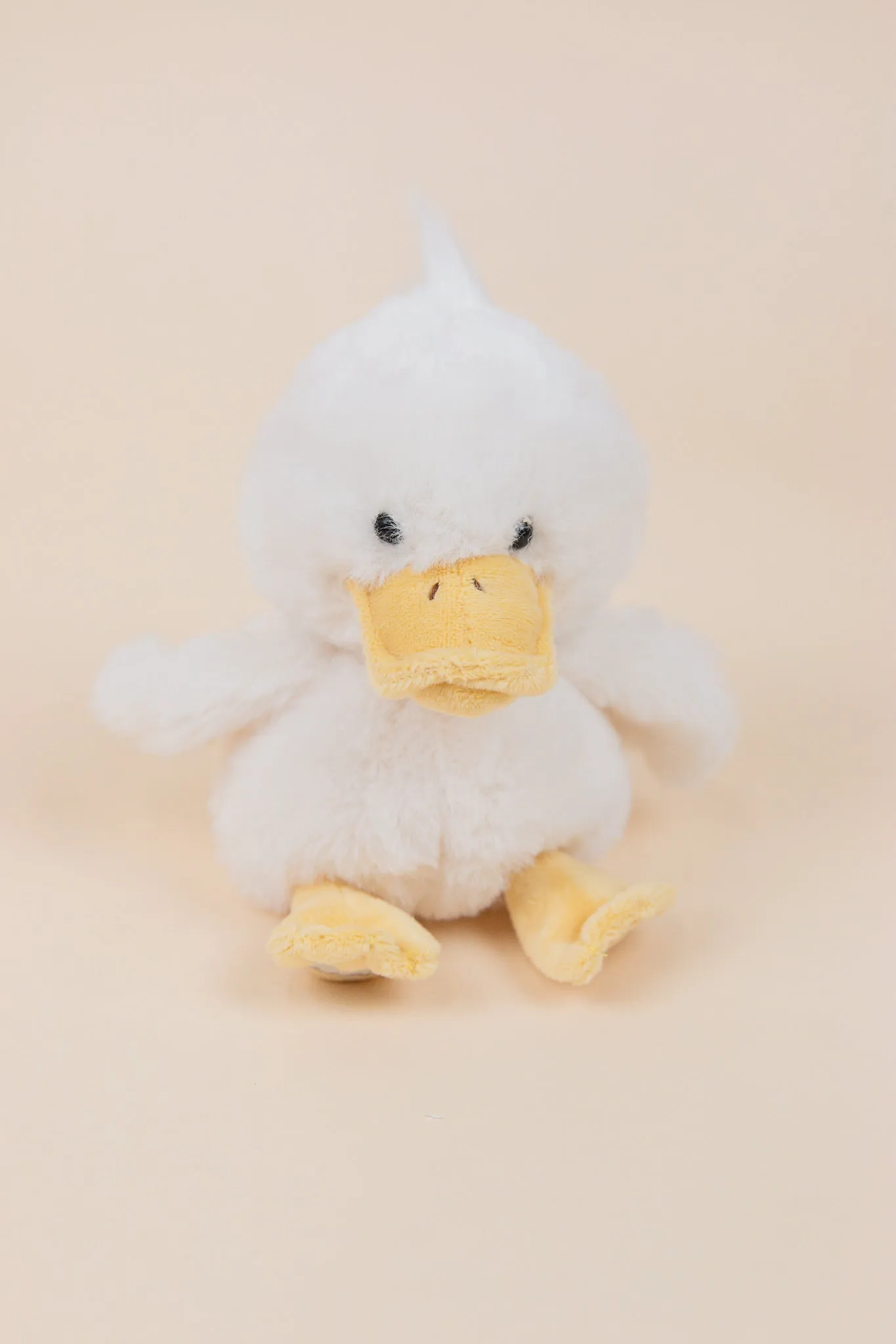 Baby Quack Duckling