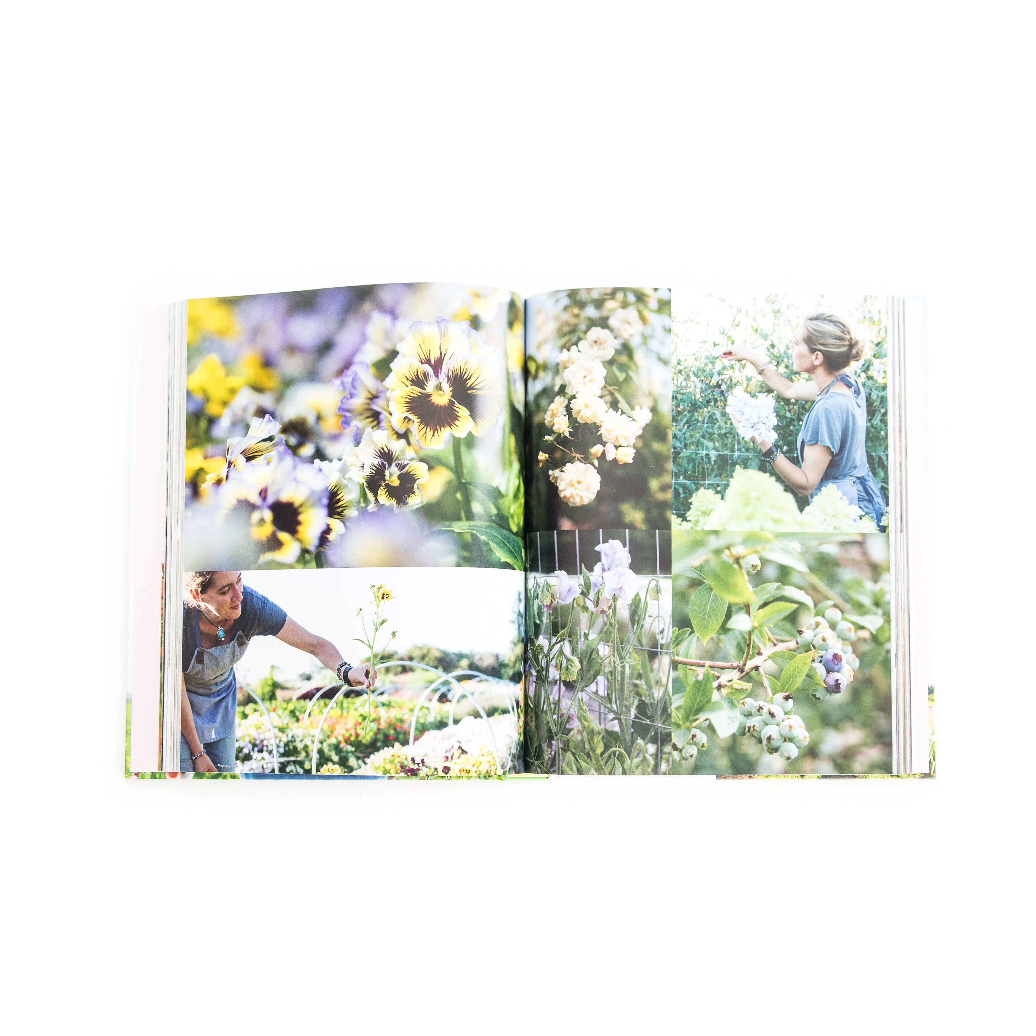 Floret Farm's A Year in Flowers
